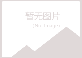 阳泉城女孩化学有限公司